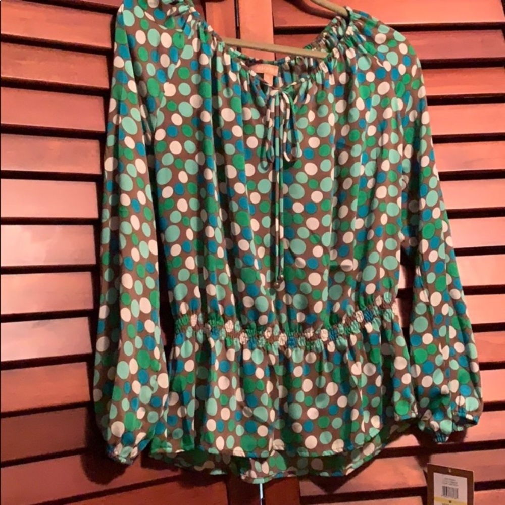 Ellen Tracy silky shirt beautiful
